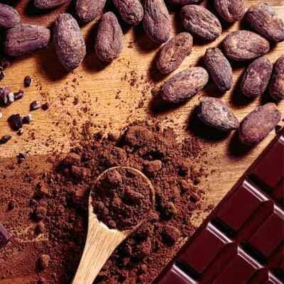 Raw cacao and cocoa sourced for wholesale supply