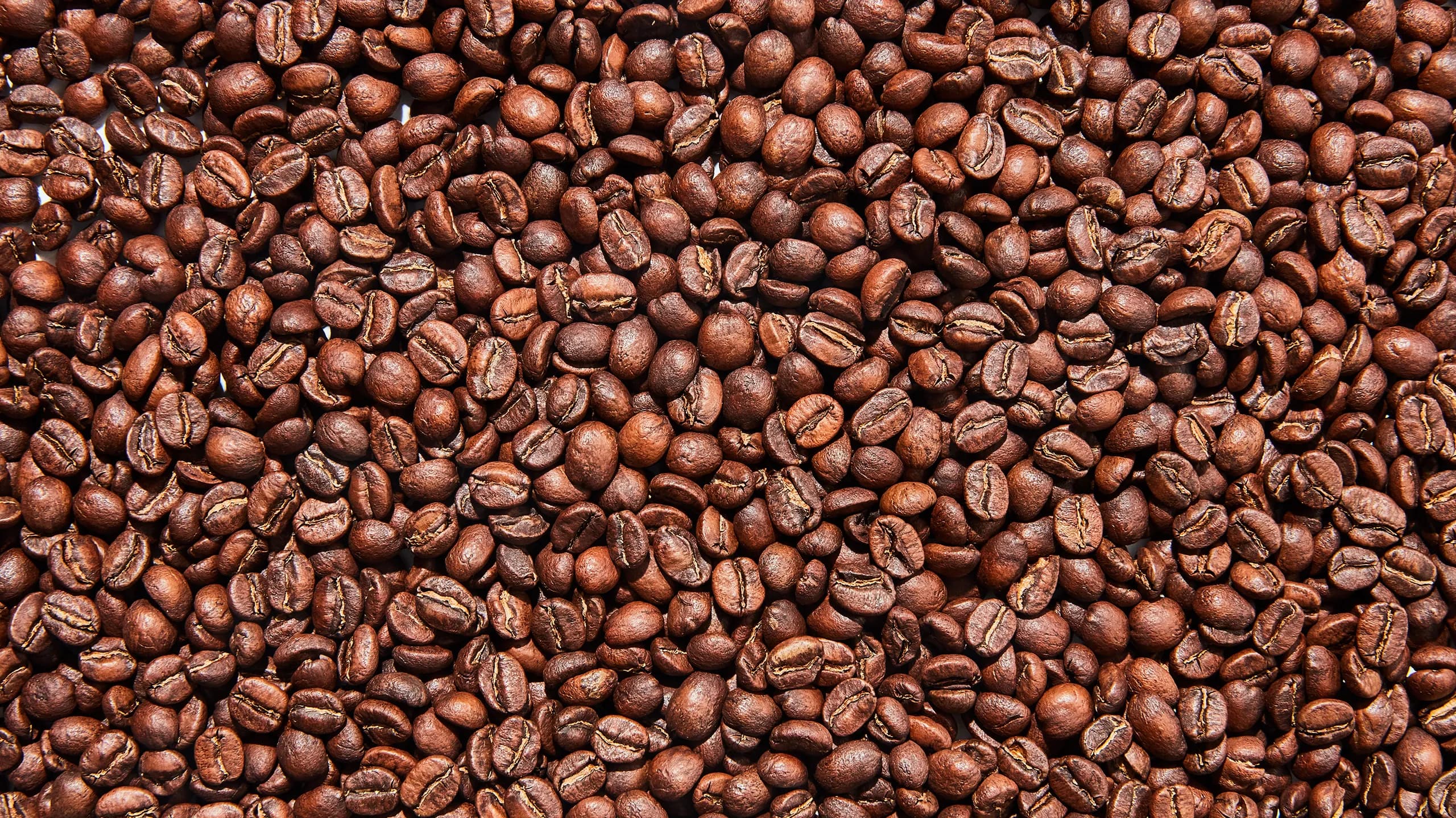 Raw coffee beans sourced for wholesale supply